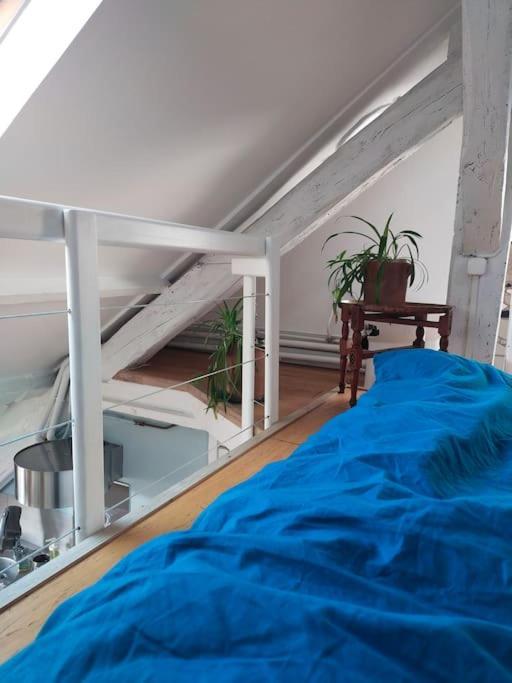 Studio Sous Les Toits Et Mezzanine - Vincennes Esterno foto