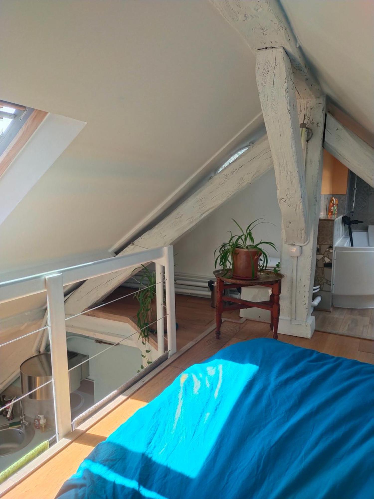 Studio Sous Les Toits Et Mezzanine - Vincennes Esterno foto