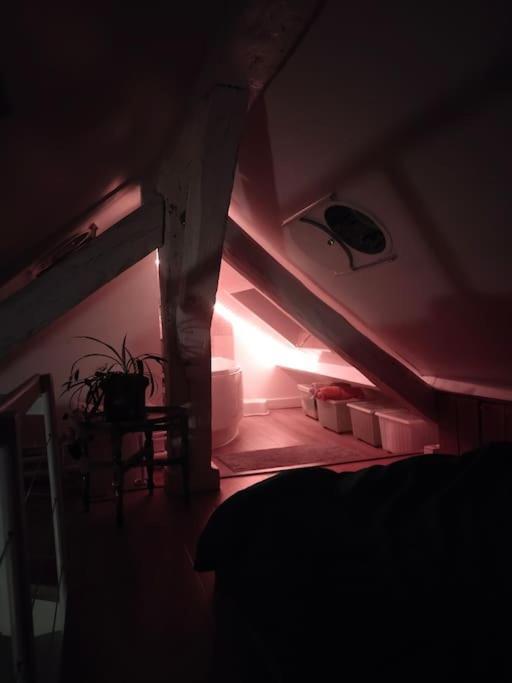Studio Sous Les Toits Et Mezzanine - Vincennes Esterno foto